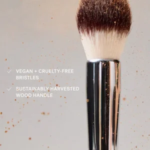 Alternative view of Precision Powder Brush